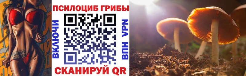 Галлюциногенные грибы MAGIC MUSHROOMS Подпорожье