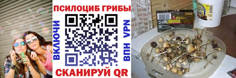 Галлюциногенные грибы Psilocybine cubensis  Подпорожье 